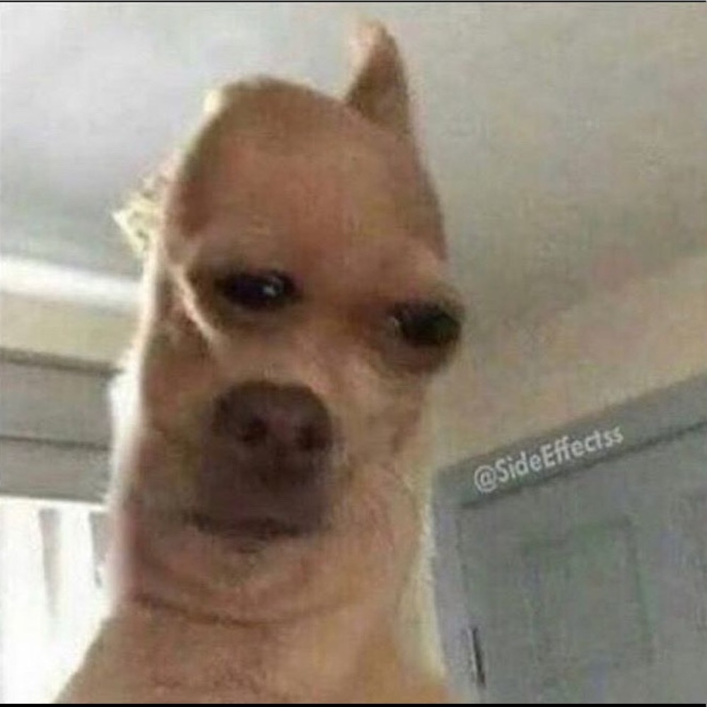 Meet your Posher, Daniel